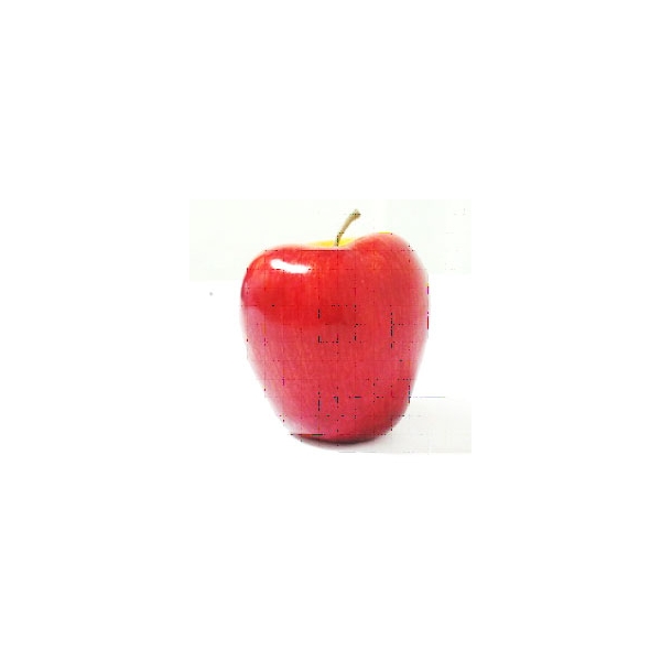 Trái táo dài